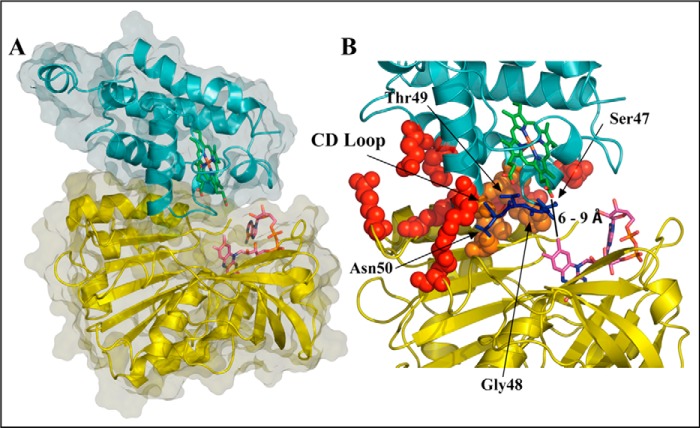 FIGURE 4.