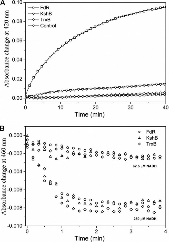 FIGURE 1.