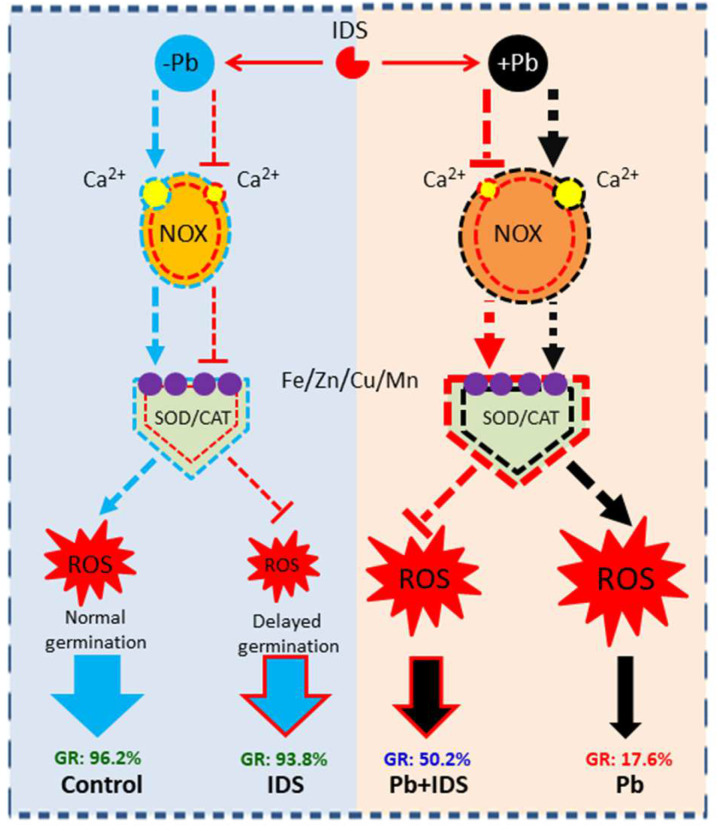 Figure 11