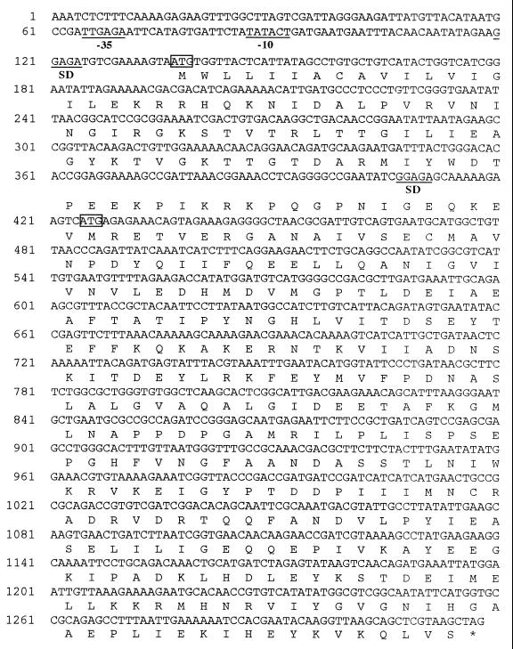 FIG. 5.