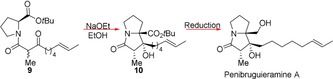 Scheme 6