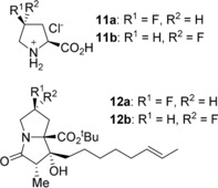 Scheme 7