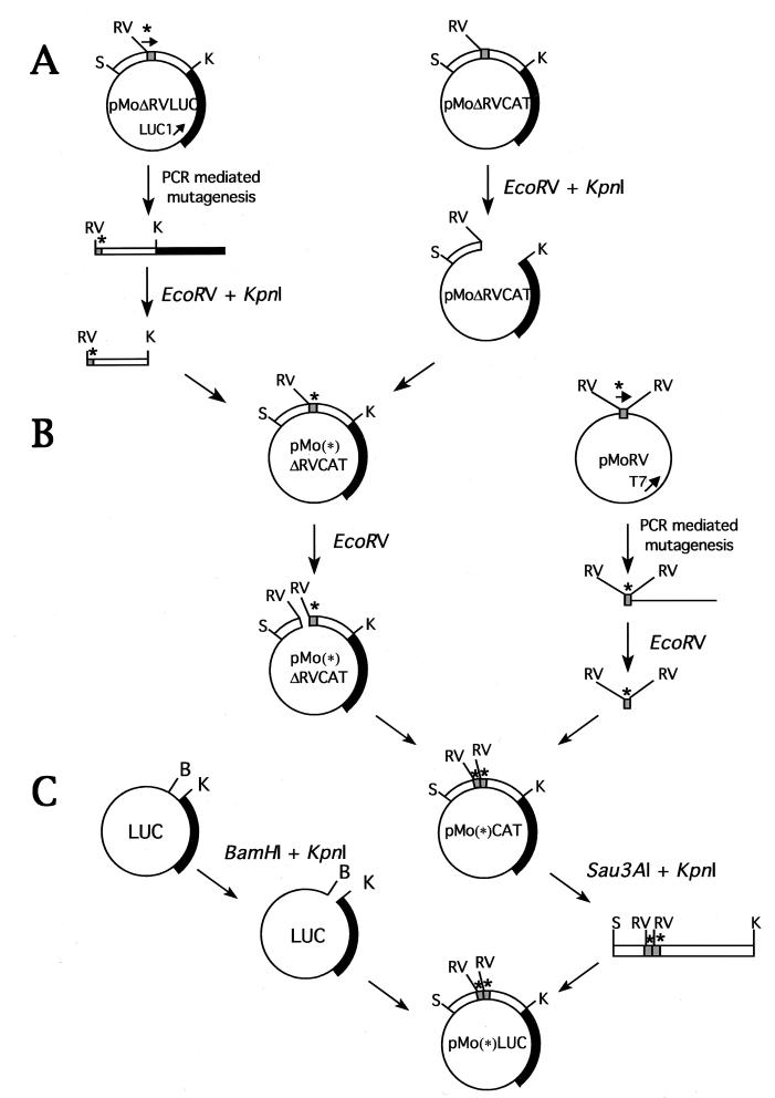 FIG. 1