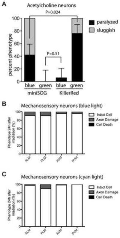 Figure 7