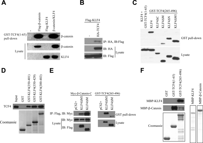 FIG. 4.