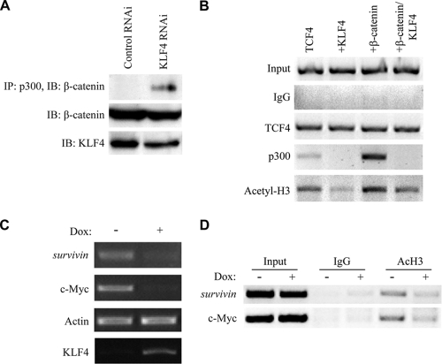 FIG. 7.