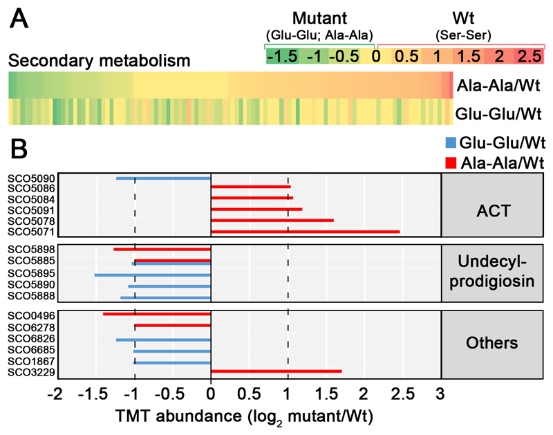 Fig. 10