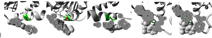 Figure 4b. 