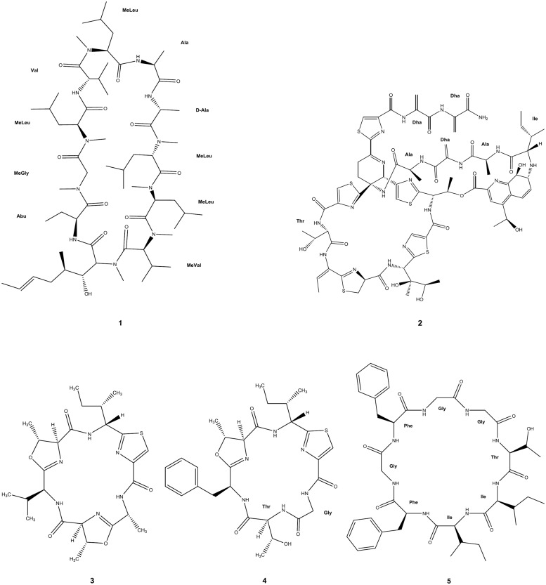 FIGURE 2