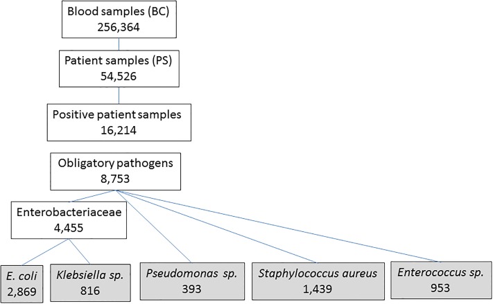 Fig 1