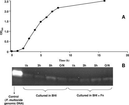 FIG. 10.