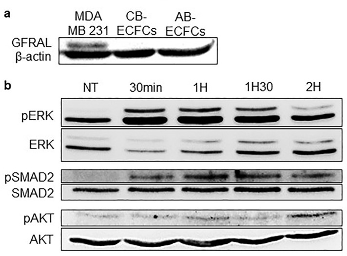 Fig 5