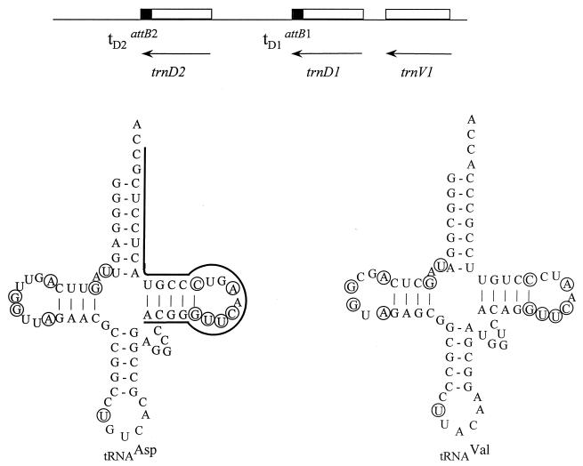 FIG. 5