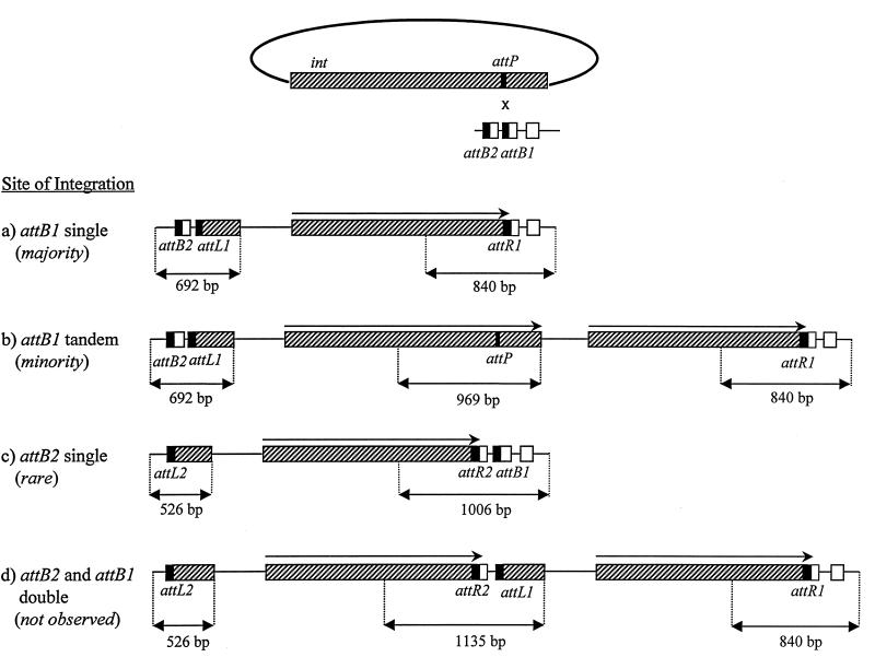 FIG. 6