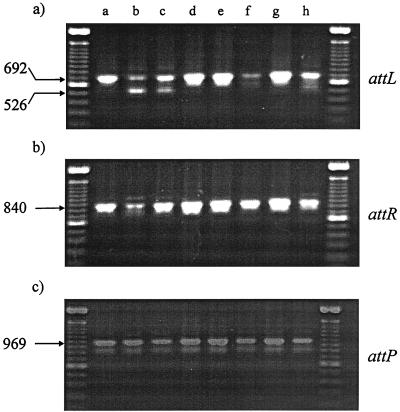 FIG. 8