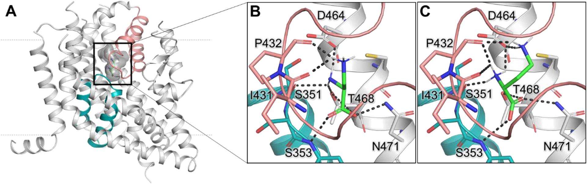 Figure 2: