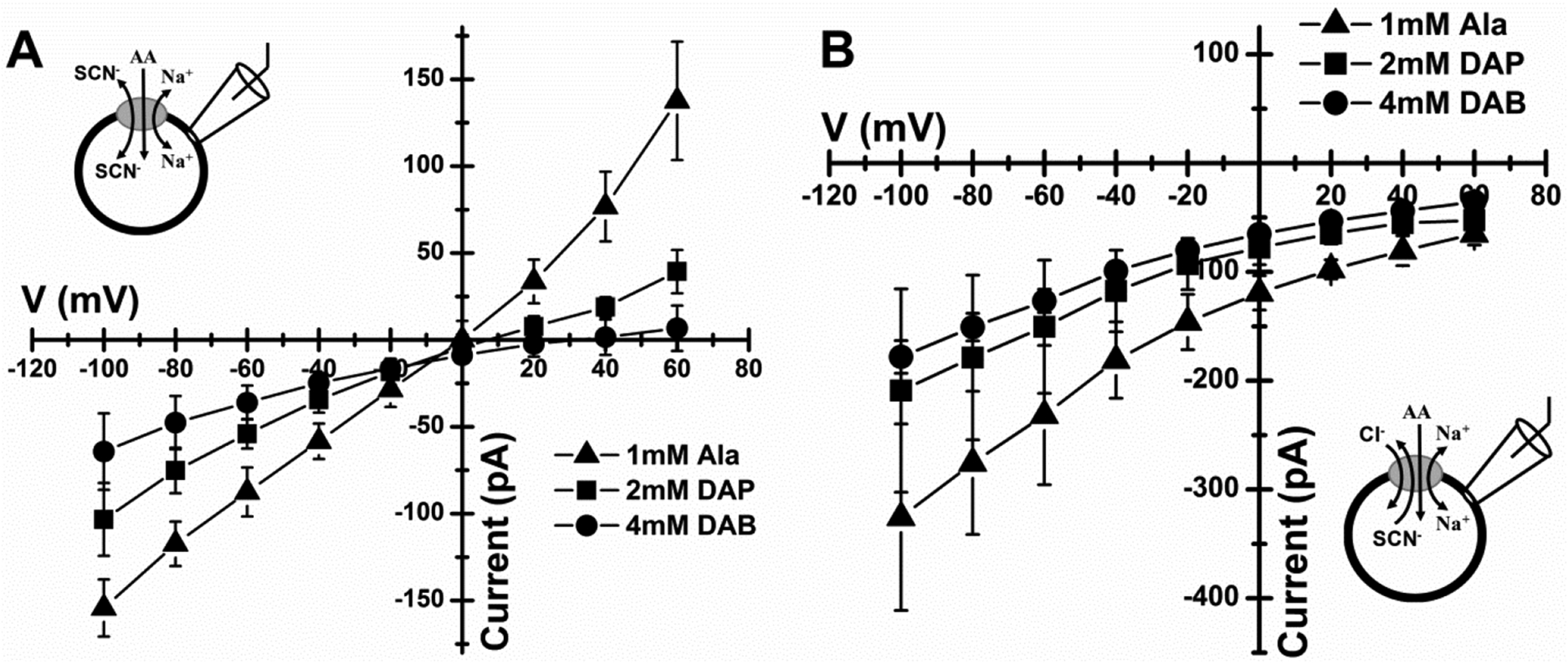 Figure 5: