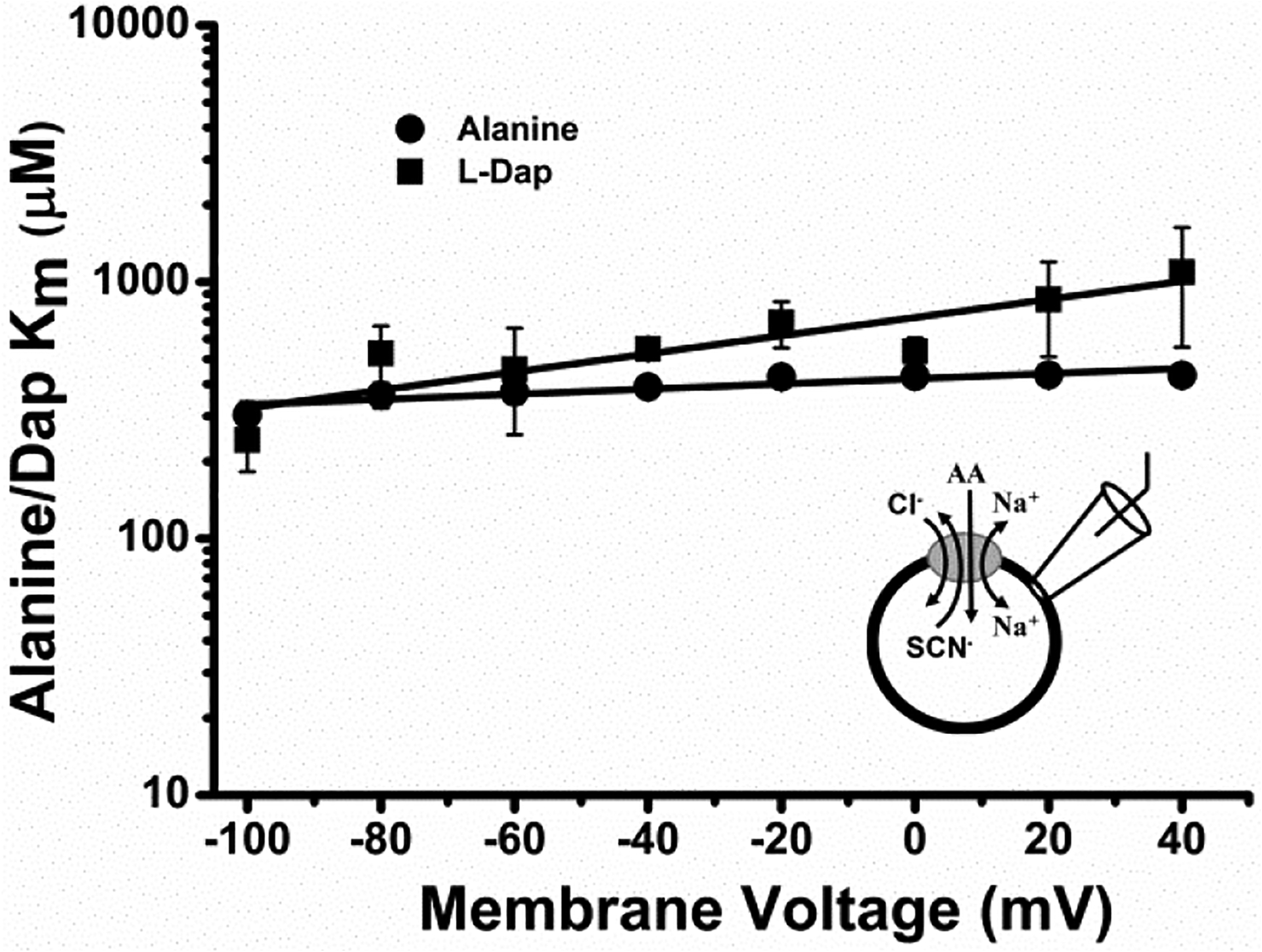 Figure 6: