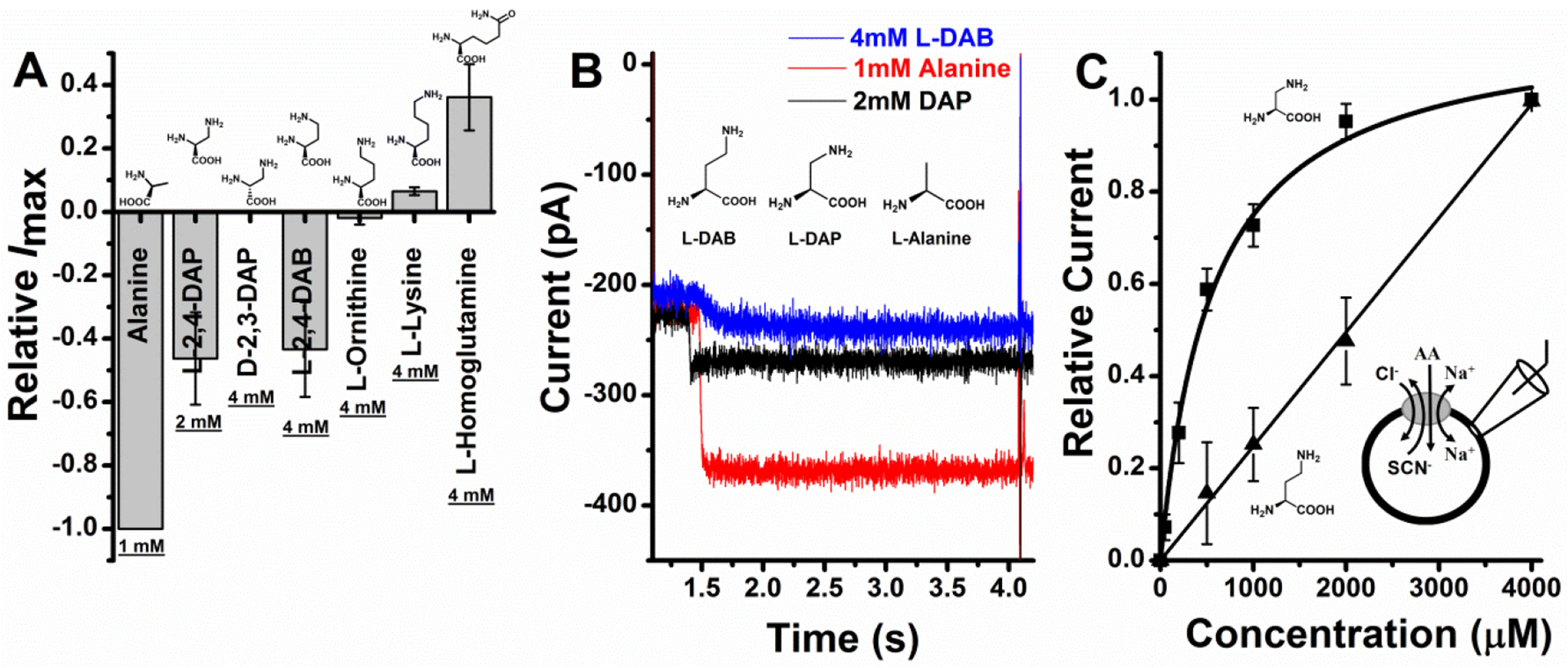 Figure 3: