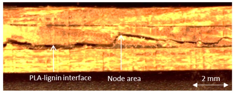 Figure 23