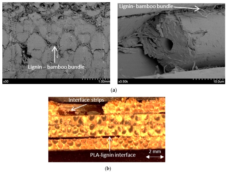 Figure 22