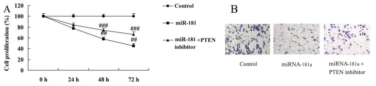 Figure 11.