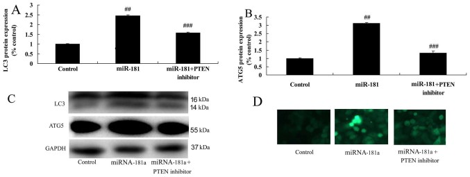 Figure 13.