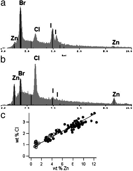 Fig. 7.