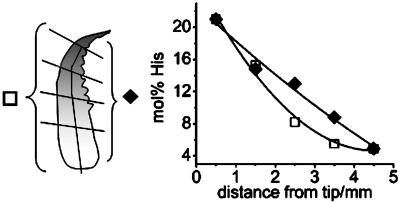 Fig. 10.