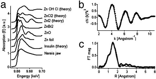 Fig. 9.