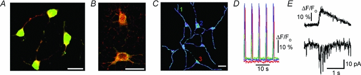 Figure 5