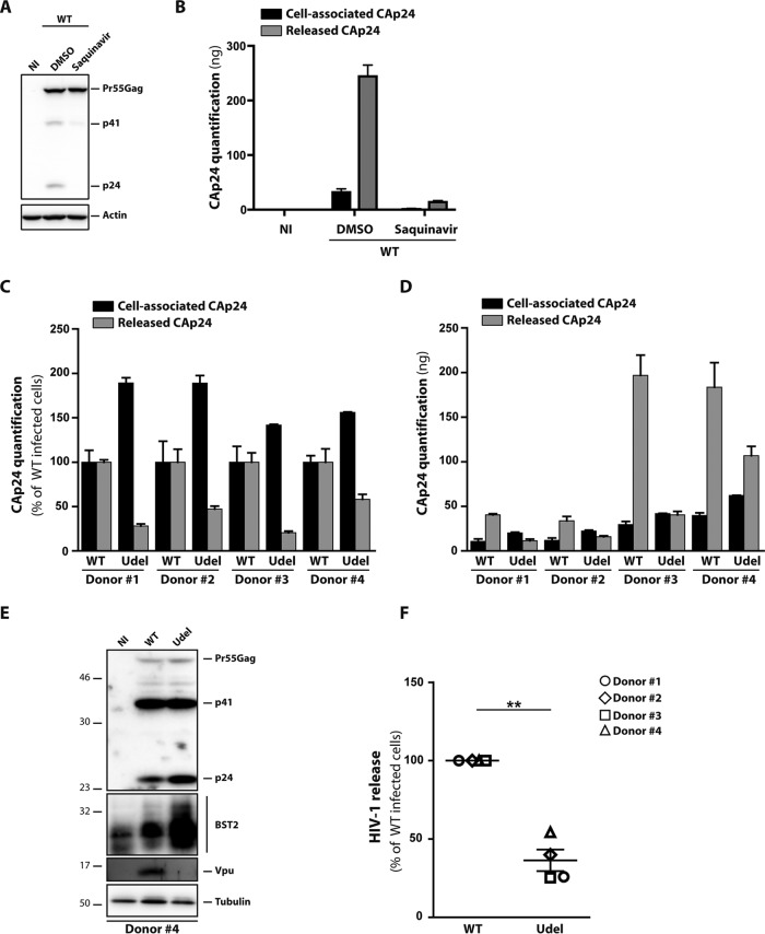 FIG 1