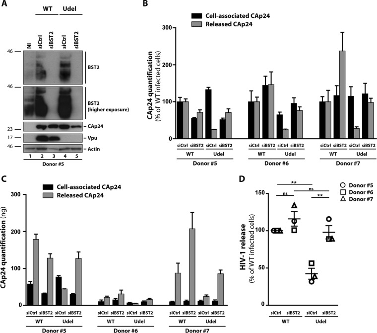 FIG 3