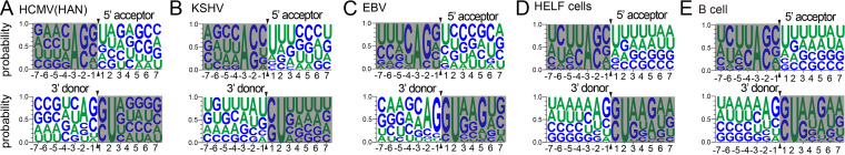 FIG 2