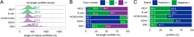 FIG 3