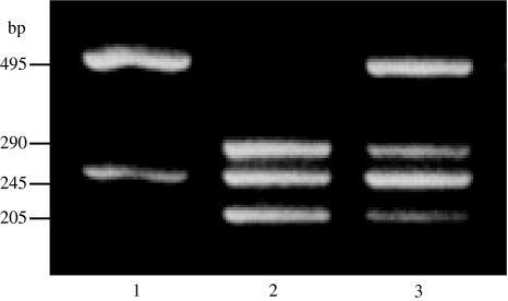 Fig. 1