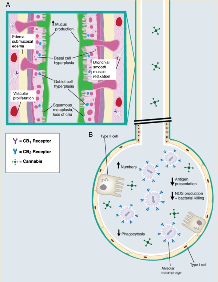 Figure 2 – 