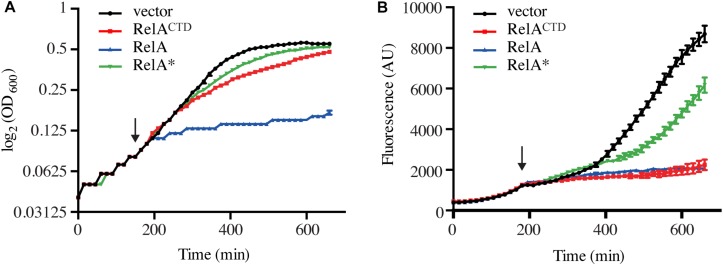 FIGURE 3