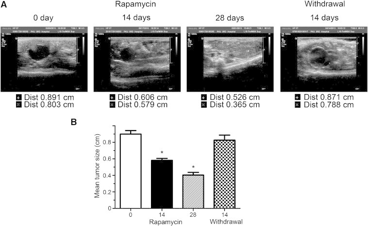 Figure 6