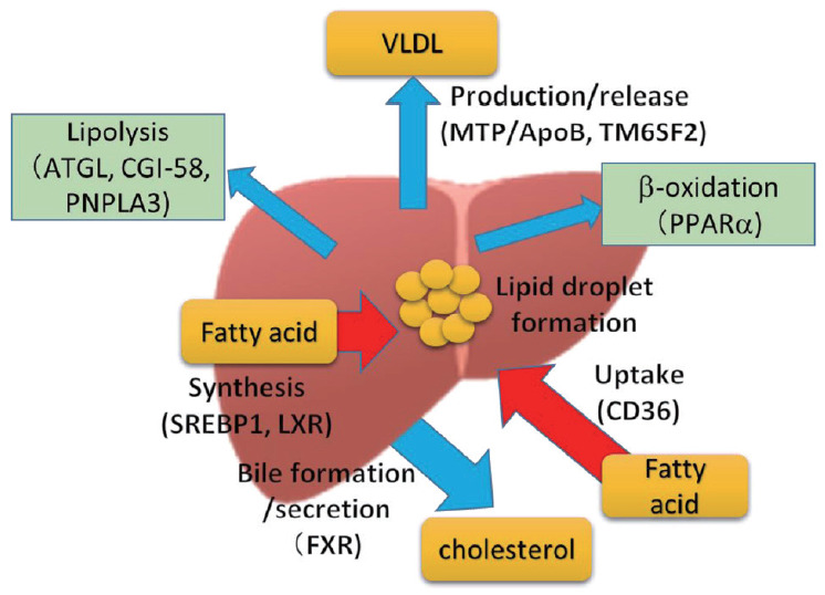 Figure 1.