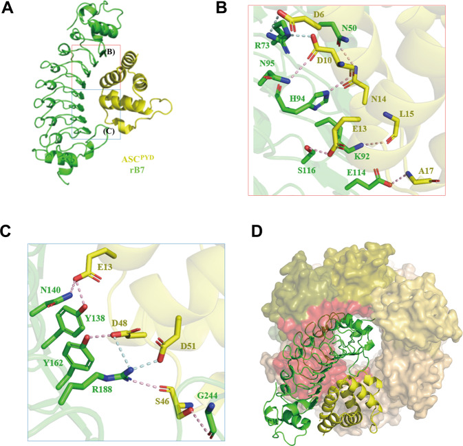 Fig. 3