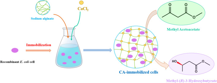 graphic file with name 40643_2022_508_Figa_HTML.jpg