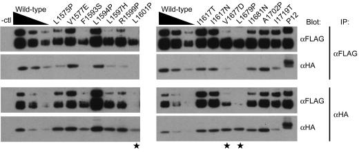 FIG. 5.