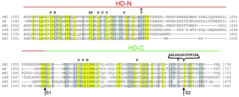 FIG. 2.