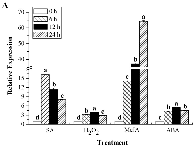 Figure 10.