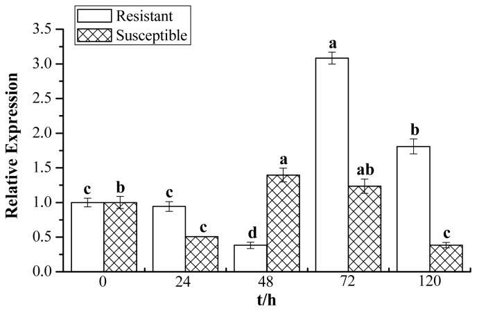 Figure 9.