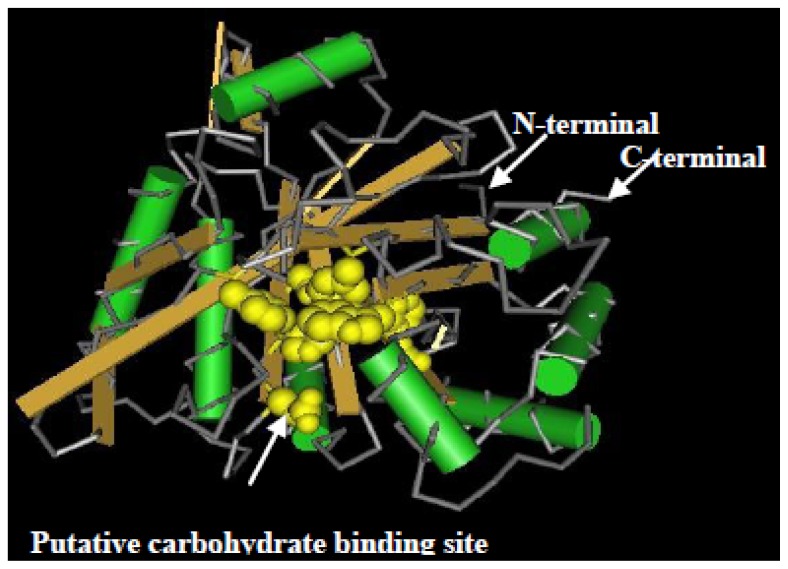 Figure 4.