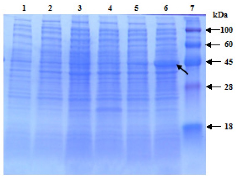 Figure 6.