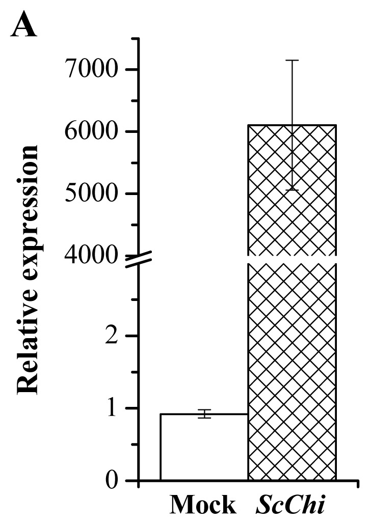 Figure 12.