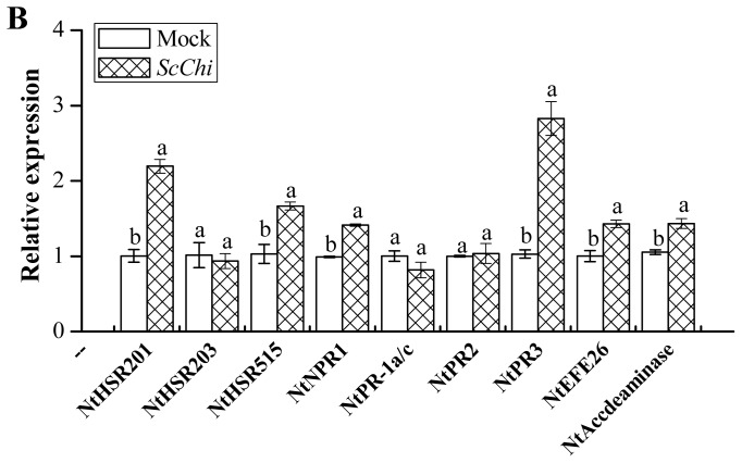 Figure 12.